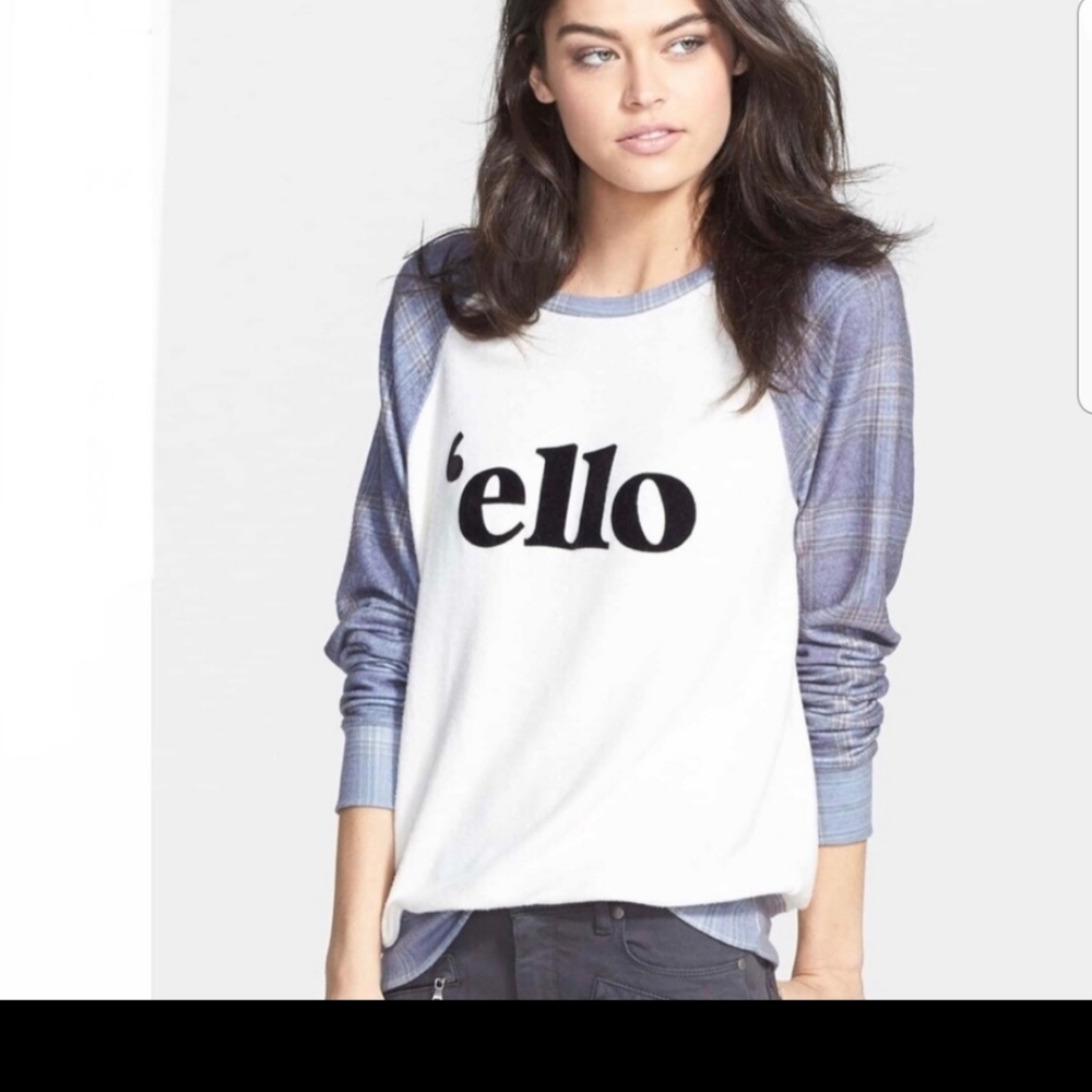 Wildfox Jumper Sweater